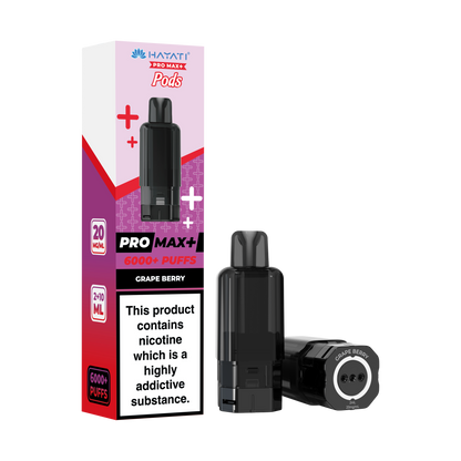 Hayati Pro Max 6000+ Prefilled Pods - Vape Kingz