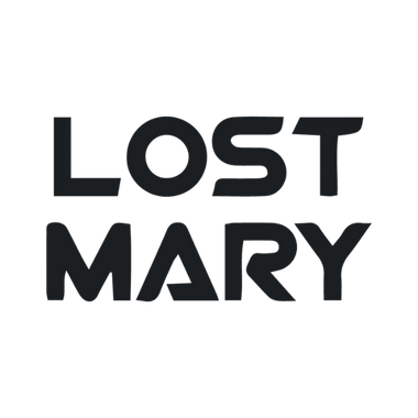 Black text 'LOST MARY' on a white background