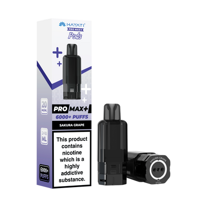 Hayati Pro Max 6000+ Prefilled Pods - Vape Kingz